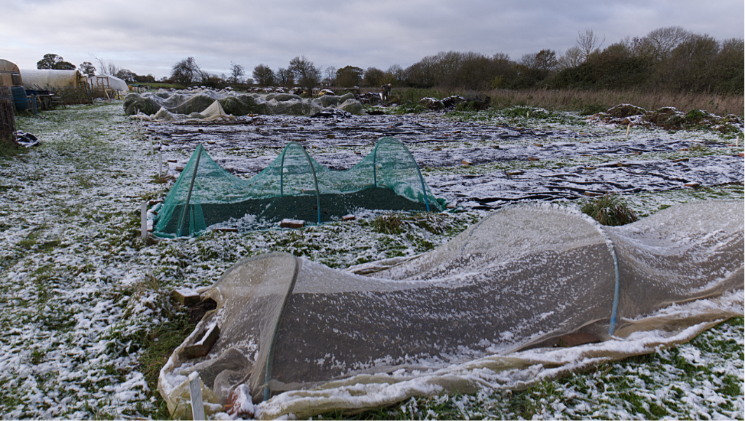 November | 2025 | Diss Community Farm