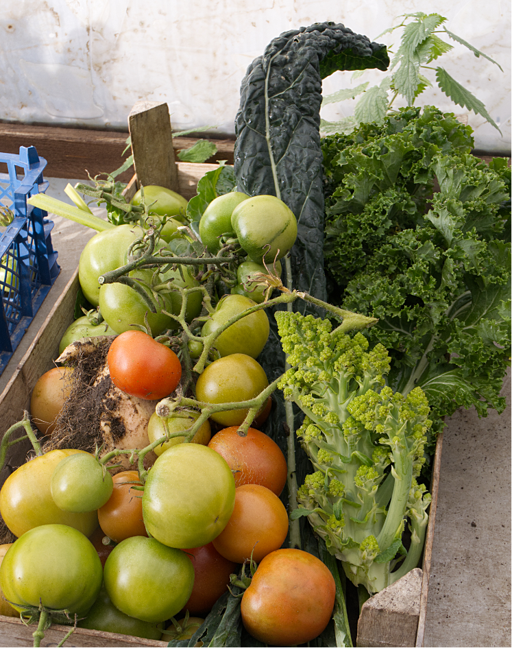 November | 2025 | Diss Community Farm